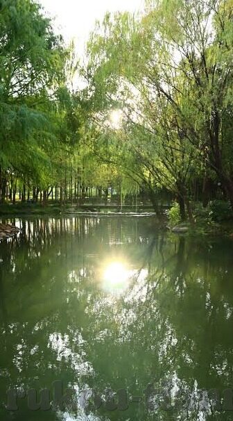 av麻豆免费-多媒体时代的娱乐与界限——理性探索AV麻豆的数字文化