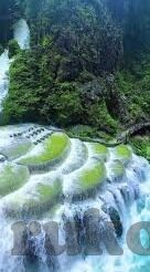 大象传媒ios下载-探索大象传媒iOS应用，解锁娱乐新体验