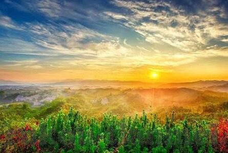 麻豆传媒免费下载-麻豆传媒资源，免费试用新趋势的探索