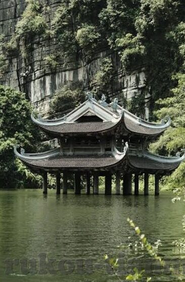 麻豆传媒是哪里的公司-麻豆传媒，洞察其背后的地域与运营脉络