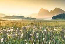 麻豆蜜桃国产精品免费视频-记我心中的奇异果秘境，麻豆蜜桃国产精品免费视频的那些小确幸