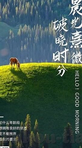 麻豆视频链接-麻豆视频的潮流与边界探索