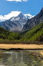 日韩av无码精品人妻系列-探索成人内容对个人和社会的影响，日韩AV无码精品人妻系列的视角