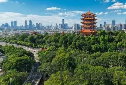 糖心直播app官方下载-探寻新颖娱乐，解锁糖心直播app官方下载的奇妙体验